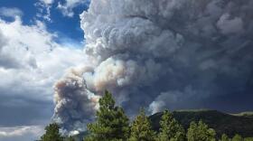 A cloud of smoke rises into the sky from the Babylon fire.