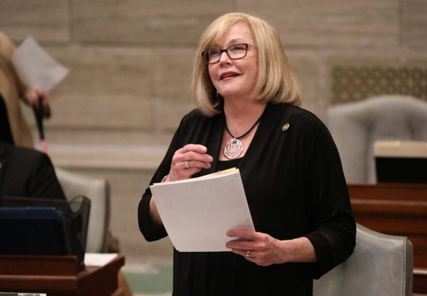  Sen. Elaine Gannon has again filed a bill to provide Medicaid coverage to low-income women for up to a year after they give birth.