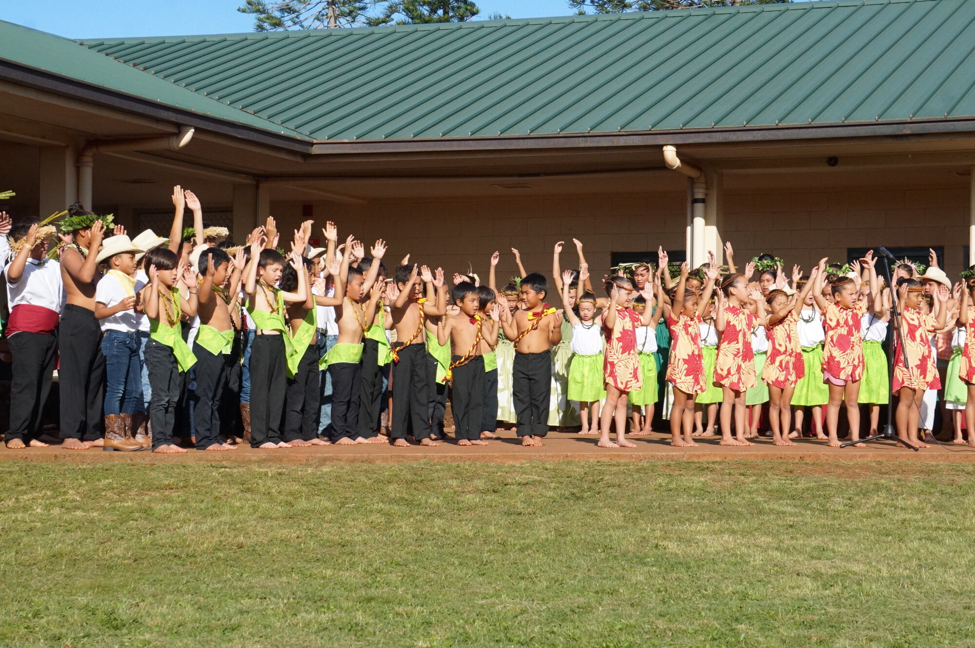 The Conversation: Kaiapuni programs; Love stories