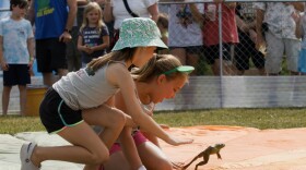 Two girls kneel on a flattened, circular parachute, slapping the ground next to a frog that is mid-jump. In the background, a crowd cheers from behind a metal railing.