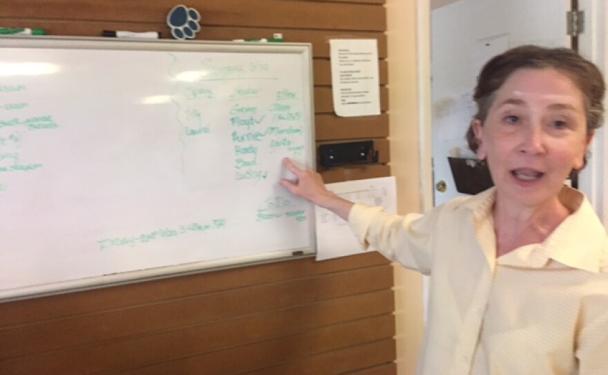 Woman pointing to a white board inside an office.