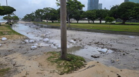 Ala Moana Beach Park seen Tuesday morning following Hurricane Lowell.