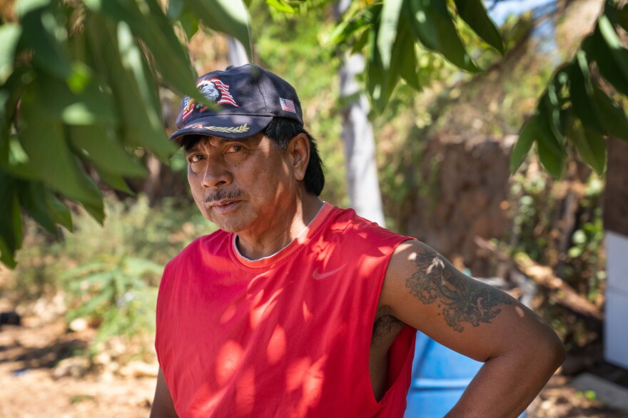 Andres stands in the shade of a papaya tree he planted in the yard around the house.