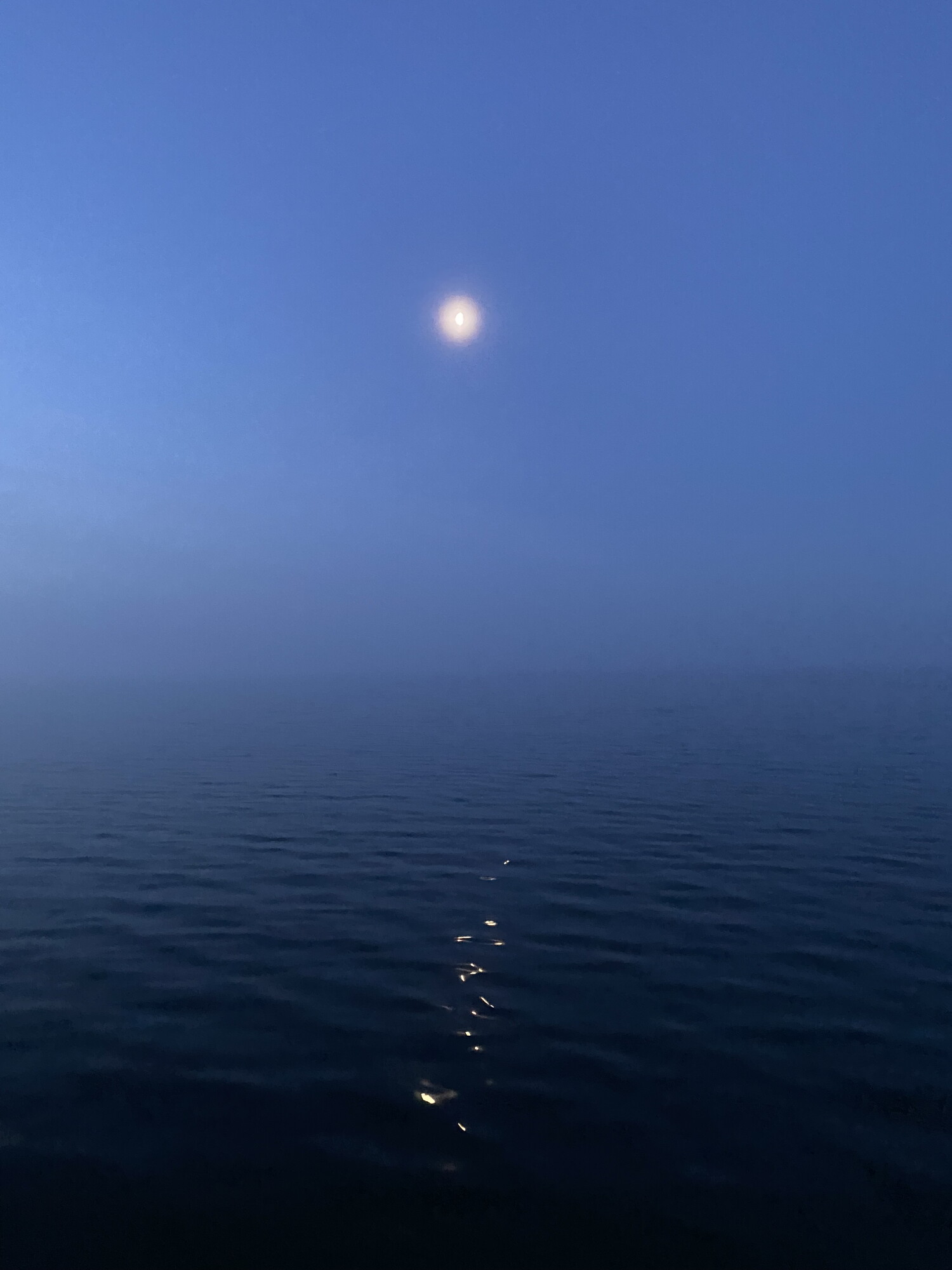 The bay scallopers leave in the dark these days episode artwork