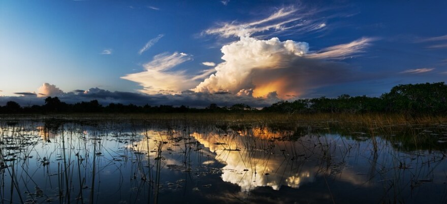 Everglades