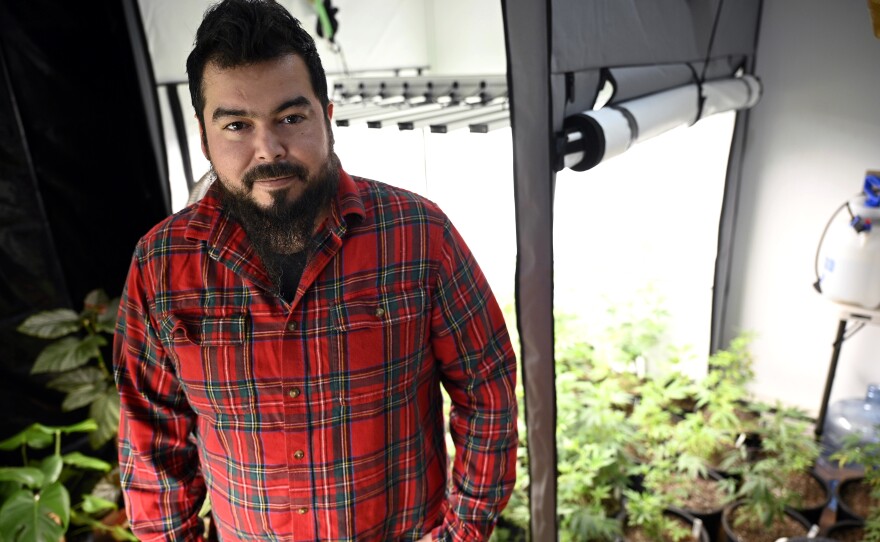Luis Vega, owner and founder of Wepa! Farms in North Haven, Conn., and the state’s first Latino hemp farmer, in the grow room of his business.