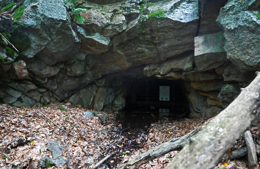 Once an entrance into the mines, the cave now serves as critical bat habitat.