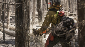 Photo of firefighter cutting burned tree.