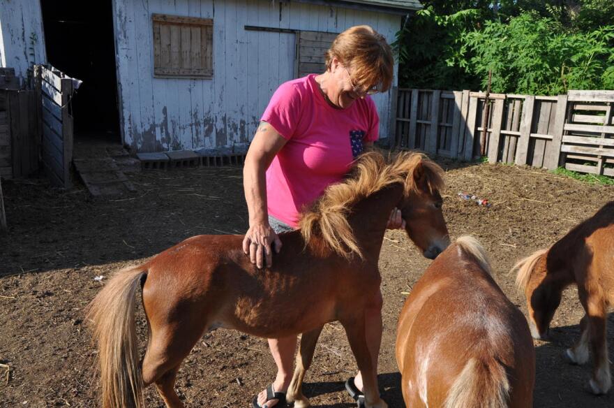 Dawn Fortner visits with the miniature horses she cares for in Monroe City.