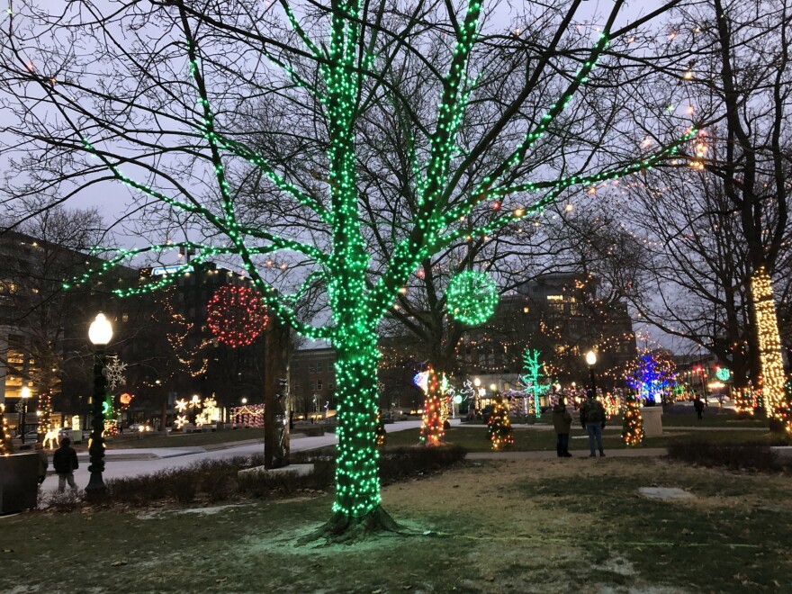 Trees in Bronson Park decorated with Christmas lights. 