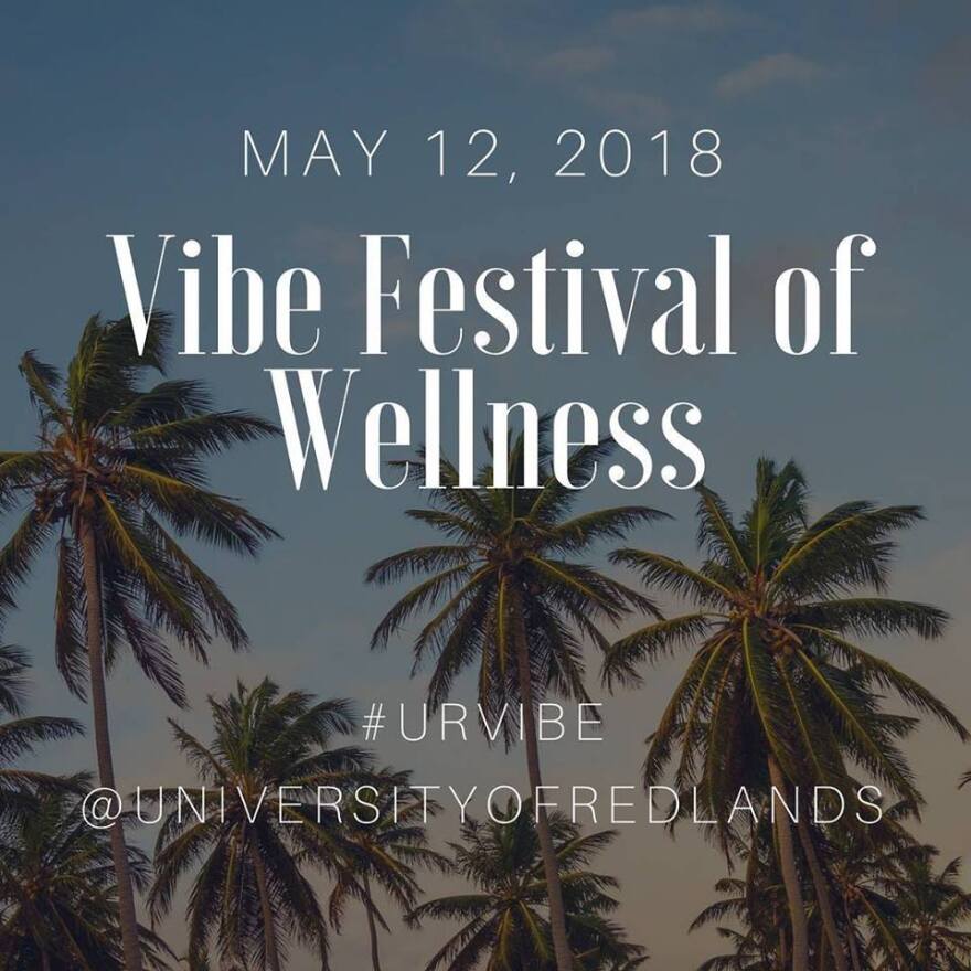 vibe_2018.jpg