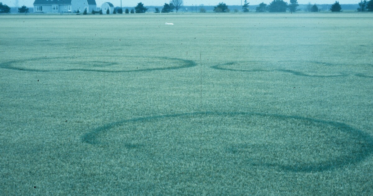 Growing on the High Plains Fairy Rings HPPR