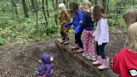 A line of young children cross a log bridge in the woods.