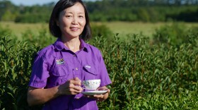 LSU AgCenter horticulturist Yan Chen is photographed in tea plants at the Hammond Research Station, July 27, 2022.