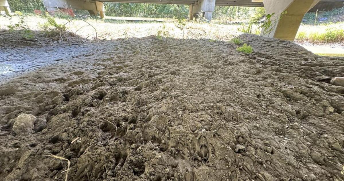 Wildlife study identifies Missouri roads in need of crossings to keep both drivers and animals safe
