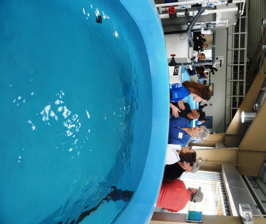Rehabilitation pool