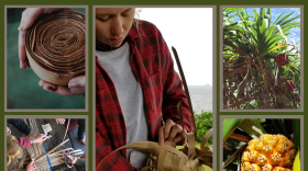 Pūlama Long perpetuates the art of ulana lauhala, or lauhala weaving, through teaching and practice.