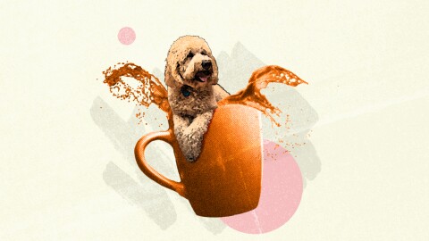 A dog hanging over the edge of an orange coffee cup.