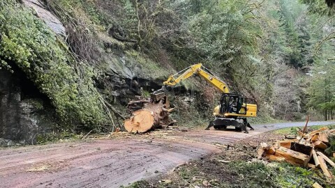 Heavy equipment operators, like the one seen in this undated BLM file photo, are among the types of jobs the bureau is looking to hire to accommodate an increase in timber production around the state.