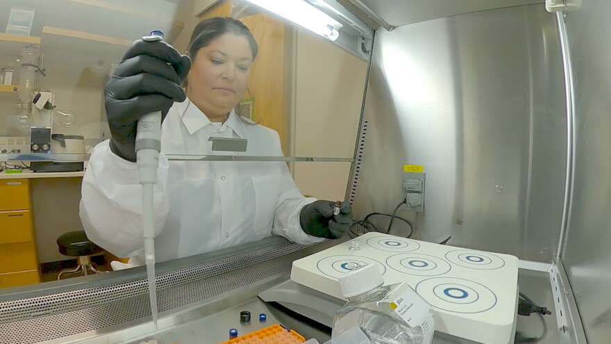University of Washington chemist Courtney Marecki builds a fentanyl vaccine from scratch in a video still captured in November 2025. The lab plans to ask the U.S. Food and Drug Administration for the go-ahead to move their fentanyl vaccine into human trials, a major step in the vaccine testing and approval process.
