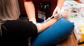A staff member (R) draws a blood sample from a volunteer at the start of a clinical trial being set up in Cape Town, to see whether the a vaccine given to babies in the country to protect them against tuberculosis, helps limit the damage caused by COVID-19.
