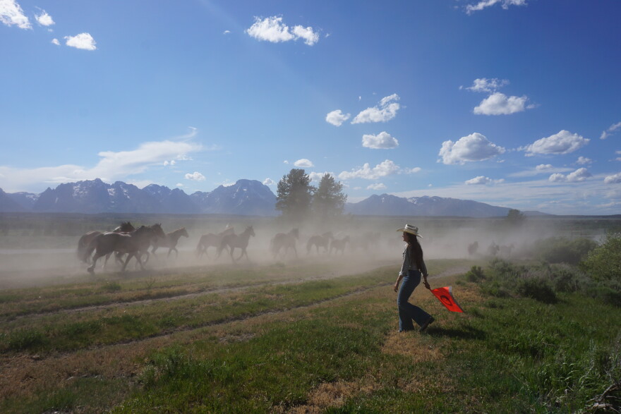 About a dozen running horses create a cloud of dust in front of looming granite mountains in the distance. A woman dressed in a western outfit waves an orange flag at them.