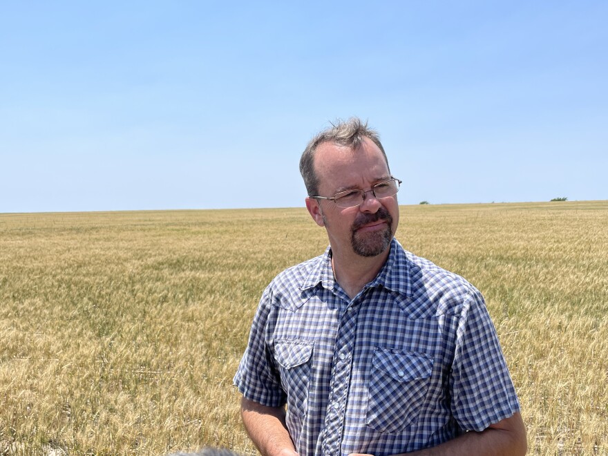  Chris Tanner raises wheat in northwest Kansas near Norton. He said high prices only matter if farmers have wheat to sell. And this year's dry, hot conditions are shrinking his crop and cutting his harvest expectations in half. 