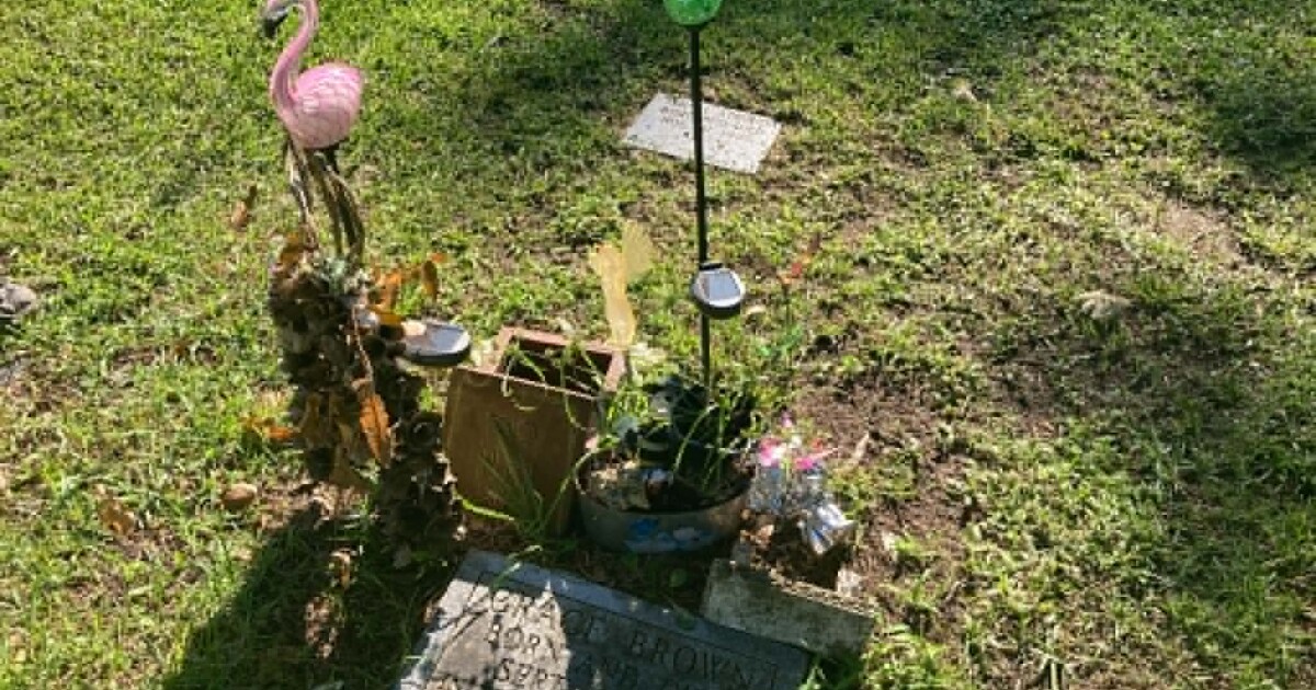 ‘It would be 2424’: Camp Lejeune families demand action on claims backlog