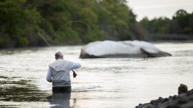 This stock image shows a fisherman at Sunken Meadow State Park.