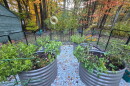 A fall NH garden.