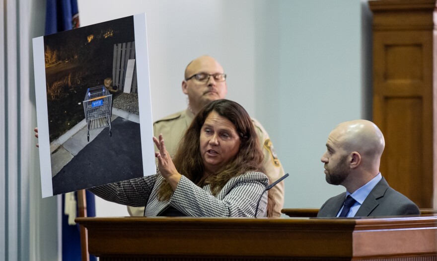 Harrisonburg Police Detective Randall Life answers questions on the witness stand as Rockingham County Commonwealth's Attorney Marsha Garst presents a photo of a shopping cart allegedly used by Anthony Eugene Robinson to transport a body away from the Howard Johnson motel on Linda Lane in Harrisonburg.