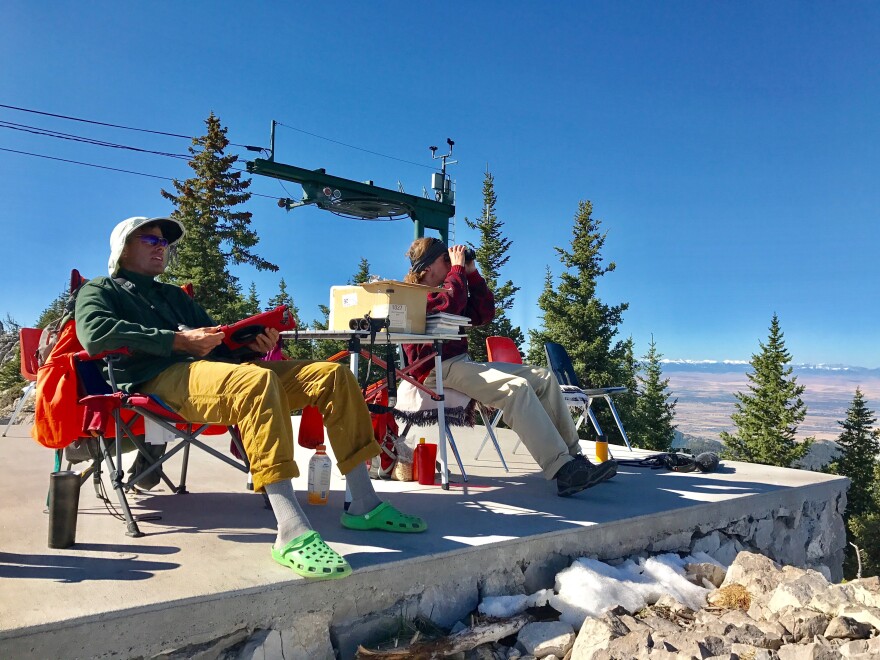 "Hawk watchers" Adam Bradley (right) and Bret Davis look for raptors atop Bridger Bowl near Bozeman.