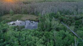 One of the residential developments held up by a U.S. district judge is Kingston, which will be located near this land by the Corkscrew Swamp Sanctuary