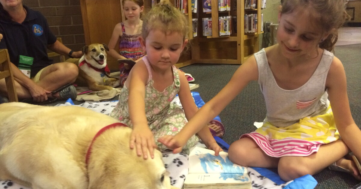 To Help Kids Read, Fresno Library Program Brings In Dogs