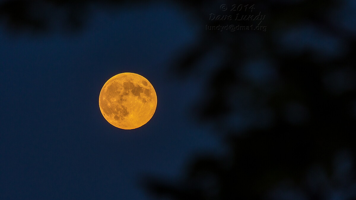 Full Moon, Blue Moon, and Supermoon - Vimarsana News