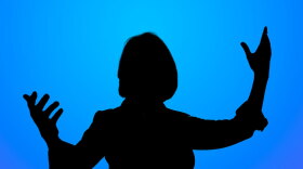 Battle Creek Symphony music director Anne Harrigan in silhouette