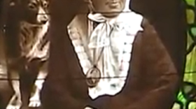 A portrait in stained glass of Mary Elizabeth Johnson Lord and her dog, Grandfather Smallweed, in the library of the Buffalo History Museum.