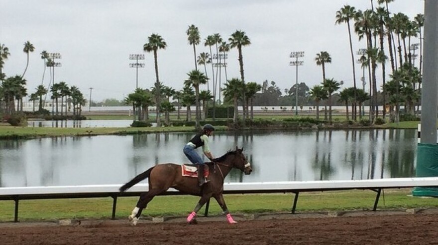 California Chrome is a favorite in Saturday's Derby, even though he doesn't fit the expensive mold of his competitors.