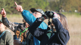 Two people, one with binoculars, looking and pointing into the sky