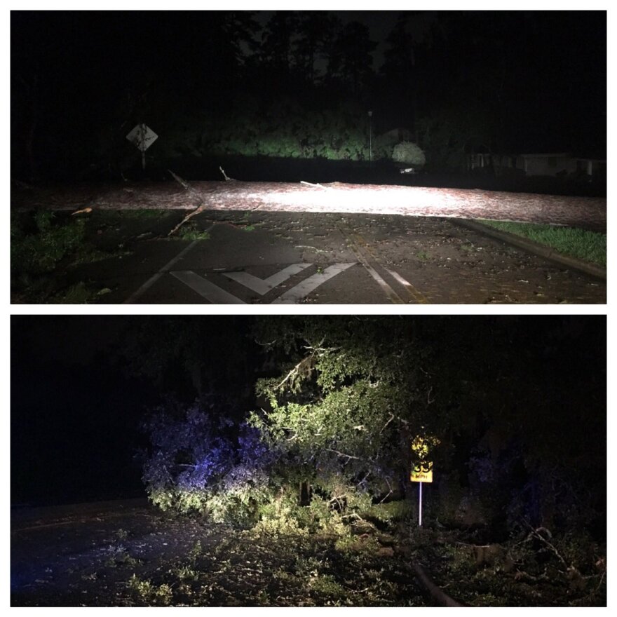 Roads across the Big Bend are closed and numerous trees are down after Hurricane Hermine.