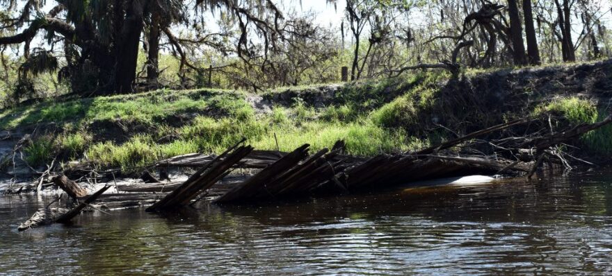 A broken dock lies alongside the Peace River