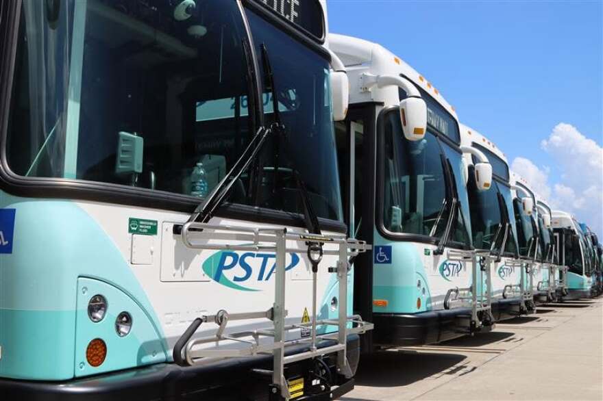 Line of blue and white buses 