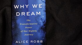 "Why We Dream — The Transformative Power Of Our Nightly Journey," by Alice Robb. (Robin Lubbock/WBUR)