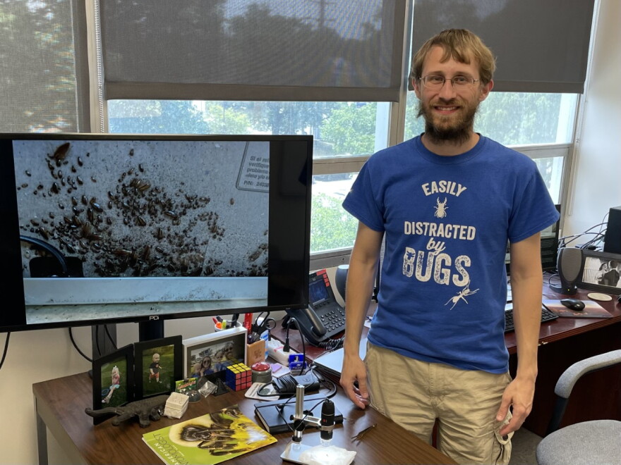 Assistant Professor of Urban Entomology Zach DeVries.