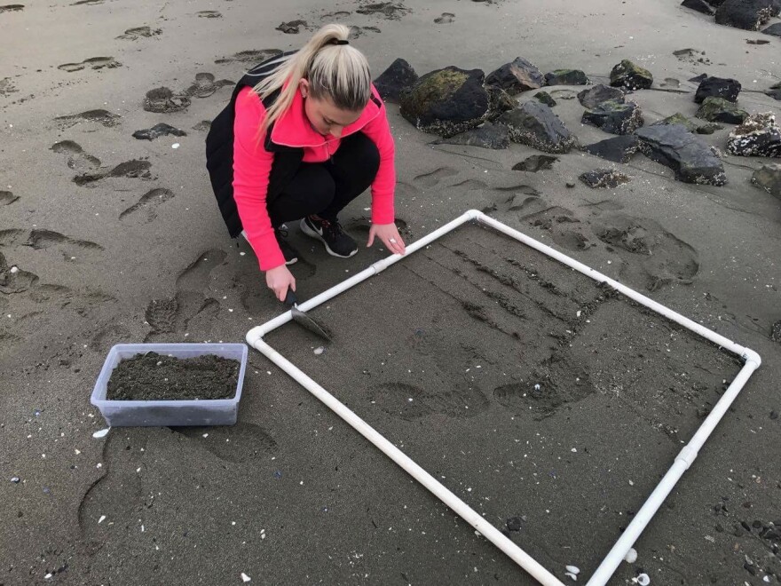 Recent University of Washington oceanography graduate, Frances Eshom-Arzadon, collecting samples for microplastics study.