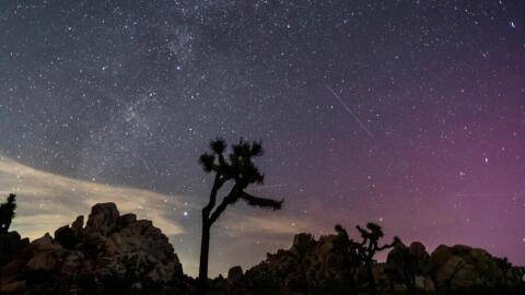 Northern Lights (Aurora Borealis) illuminate the sky above Joshua Tree National Park during the Perseids Meteor shower in Joshua Tree, California, early on Aug. 12, 2024. (Apu Gomes/AFP via Getty Images)