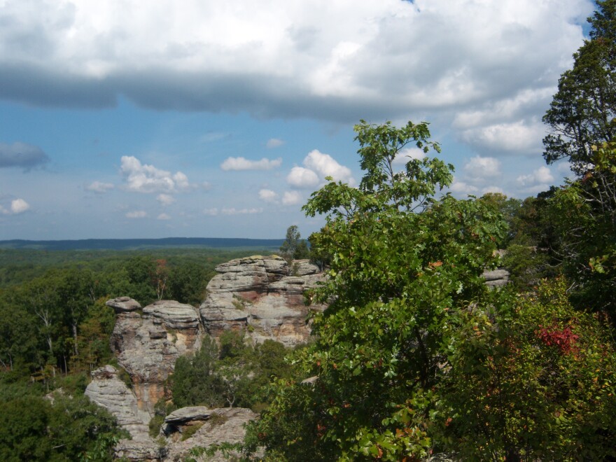  An overlook of that Garden of the Gods at Shawnee National Forest. A resolution passed by the Carbondale City Council supports changing forest into a national park and climate preserve.&#13;
