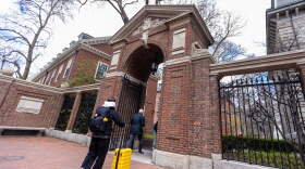 A student walks into Harvard Yard from Harvard Square. (Jesse Costa/WBUR)