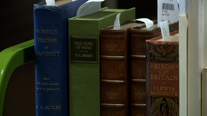 A wide array of ornithology materials from around the world will be on display.