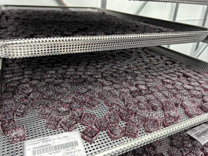 Las gomitas de zarzamora infundidas con cannabis intoxicante están listas para ser envasadas en Texas Original, una de las tres empresas autorizadas para vender marihuana medicinal en el estado.
